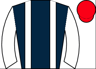 Horse silk