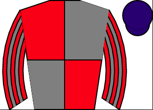 Horse silk
