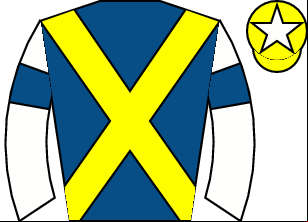Horse silk
