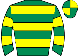 Horse silk