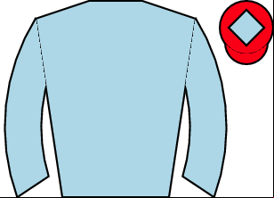 Horse silk