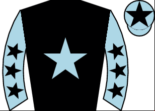 Horse silk