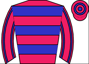 Horse silk