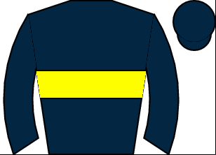 Horse silk