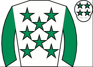 Horse silk