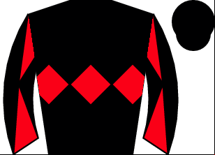 Horse silk