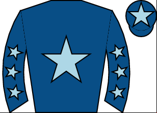 Horse silk