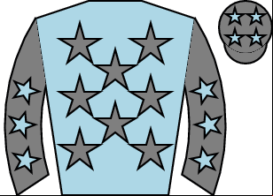 Horse silk