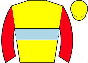 Horse silk