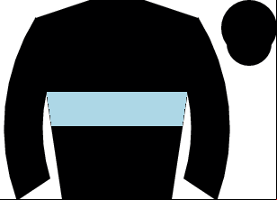 Horse silk