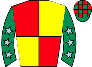 Horse silk