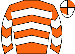 Horse silk