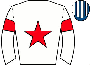 Horse silk