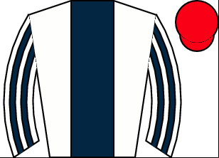 Horse silk