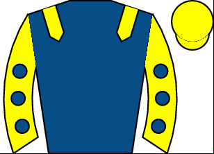 Horse silk