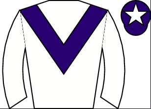 Horse silk