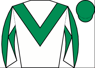 Horse silk