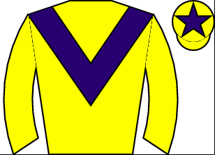 Horse silk