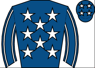 Horse silk