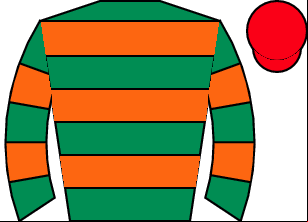 Horse silk