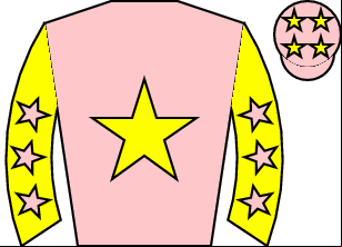 Horse silk