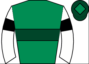 Horse silk