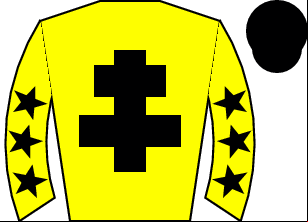 Horse silk