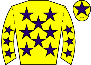 Horse silk