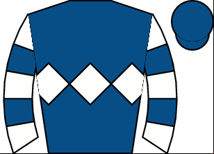Horse silk