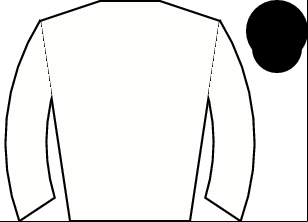 Horse silk