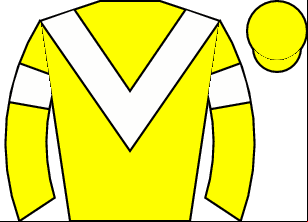 Horse silk