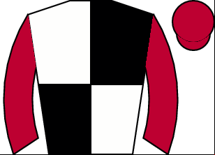 Horse silk