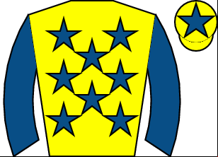 Horse silk
