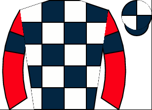 Horse silk