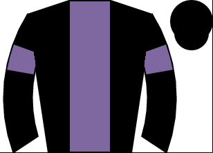 Horse silk