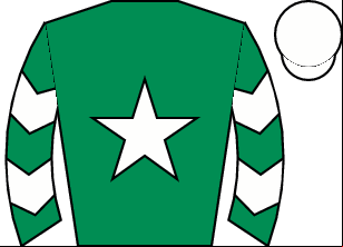 Horse silk