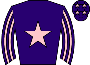 Horse silk