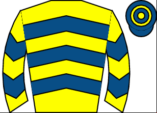 Horse silk