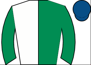 Horse silk
