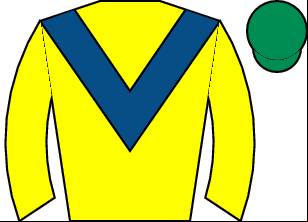 Horse silk