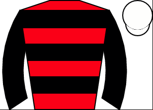 Horse silk