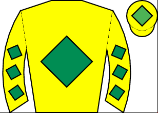 Horse silk