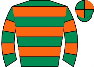 Horse silk