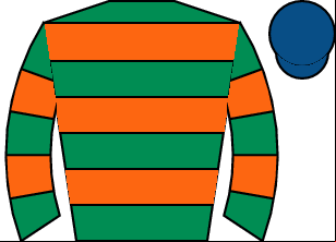 Horse silk