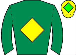 Horse silk