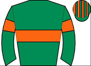 Horse silk