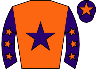 Horse silk