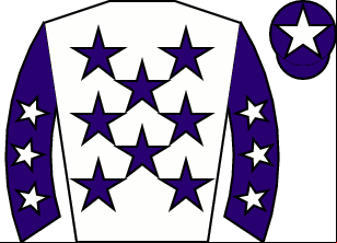Horse silk