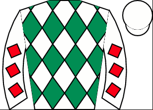 Horse silk