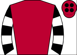 Horse silk